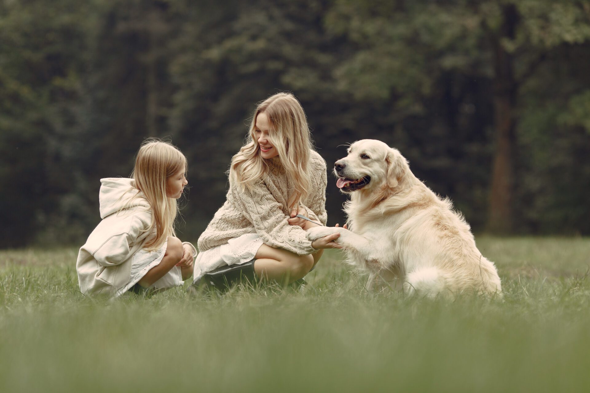 Happy family having fun in autumn forest Happy family having fun in autumn forest